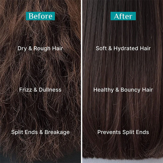 Pilgrim Korean Rice Water & Collagen Advanced Damage Repair Shampoo | With 17 Amino Acids Complex, Wheat Protein & 5 Ceramides | For Dry & Damaged Hair | 200ml