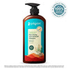 Pilgrim Australian Tea Tree & Salicylic Acid Non Drying Anti Dandruff Shampoo | Paraben Free | All Hair Types | 650ml