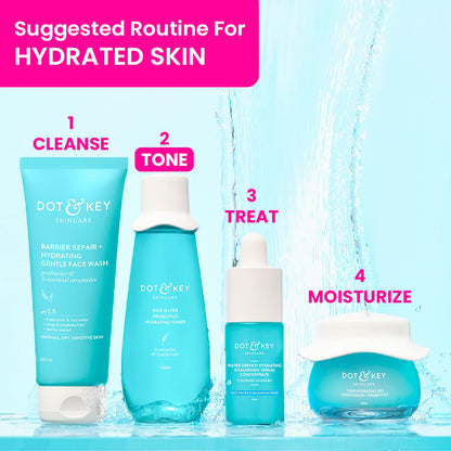 Dot & Key Blueberry Hydrate Barrier Repair Toner with 5 Ceramides & Rice Water | 150ml