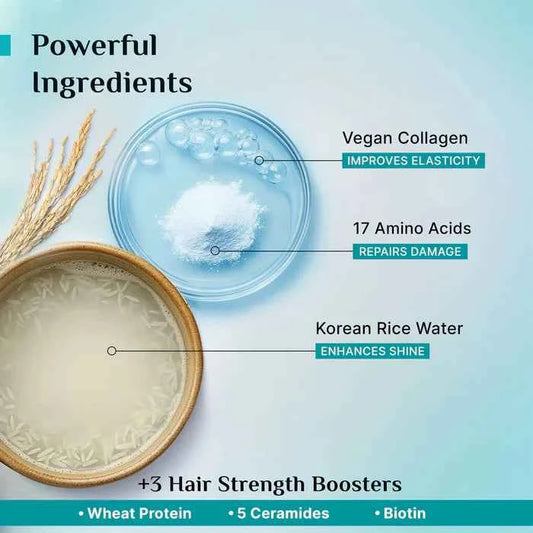 Pilgrim Korean Rice Water & Collagen Advanced Damage Repair Conditioner | With 17 Amino Acids Complex, Wheat Protein & 5 Ceramides | For Dry & Damaged Hair | 200ml