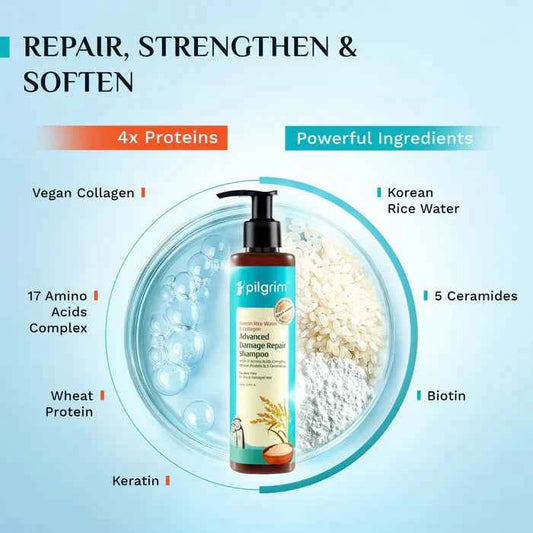 Pilgrim Korean Rice Water & Collagen Advanced Damage Repair Shampoo | With 17 Amino Acids Complex, Wheat Protein & 5 Ceramides | For Dry & Damaged Hair | 200ml