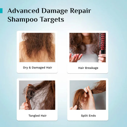 Pilgrim Korean Rice Water & Collagen Advanced Damage Repair Shampoo | With 17 Amino Acids Complex, Wheat Protein & 5 Ceramides | For Dry & Damaged Hair | 200ml