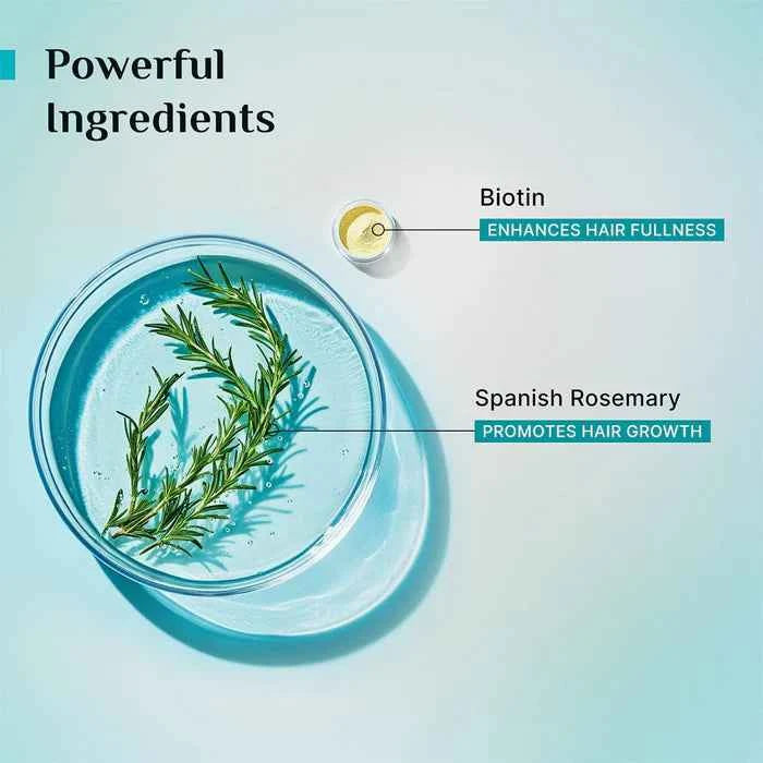 pilgrim spanish rosemary & biotin anti hairfall shampoo | reduces hair fall due to breakage | sulphate & paraben free | all hair types | 200ml