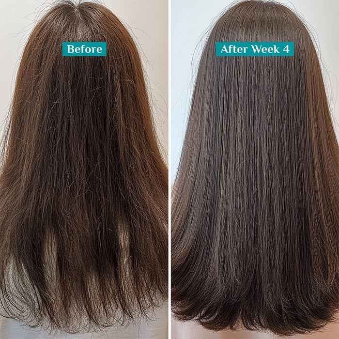 Pilgrim Spanish Rosemary & Biotin Anti Hairfall Shampoo | Sulphate & Paraben Free | Strengthens Hair & Reduces Hair Fall | 400ml - GEHNA OFFICIAL