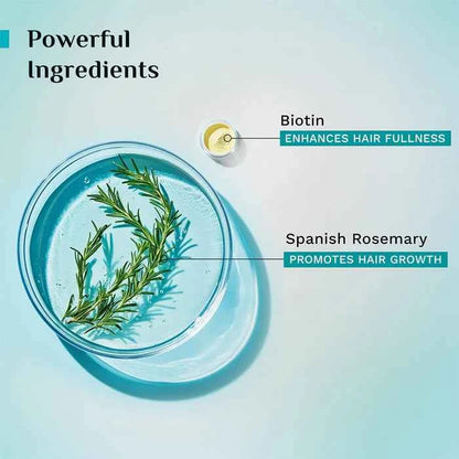 Pilgrim Spanish Rosemary & Biotin Anti Hairfall Shampoo | Sulphate & Paraben Free | Strengthens Hair & Reduces Hair Fall | 400ml - GEHNA OFFICIAL
